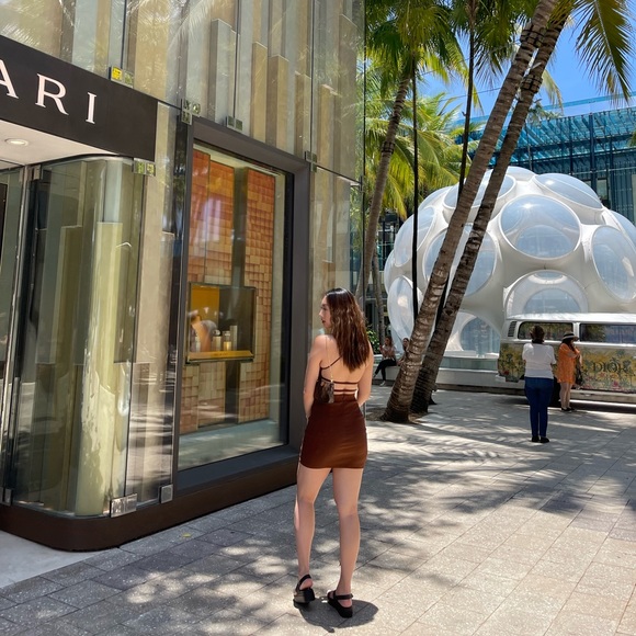 Zara Brown Dress - Picture 2 of 2